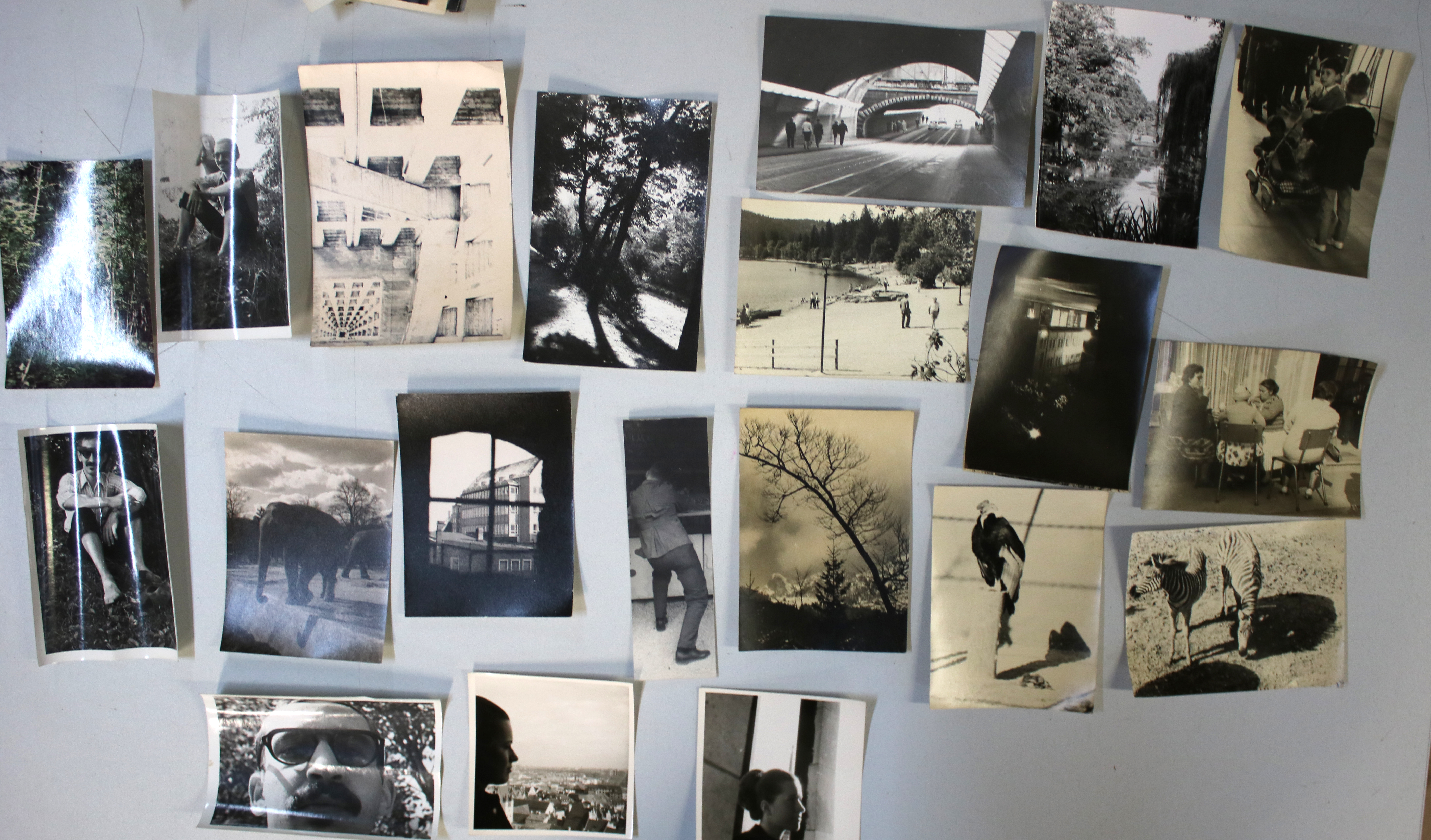 Sammlung | Bild Nr.5